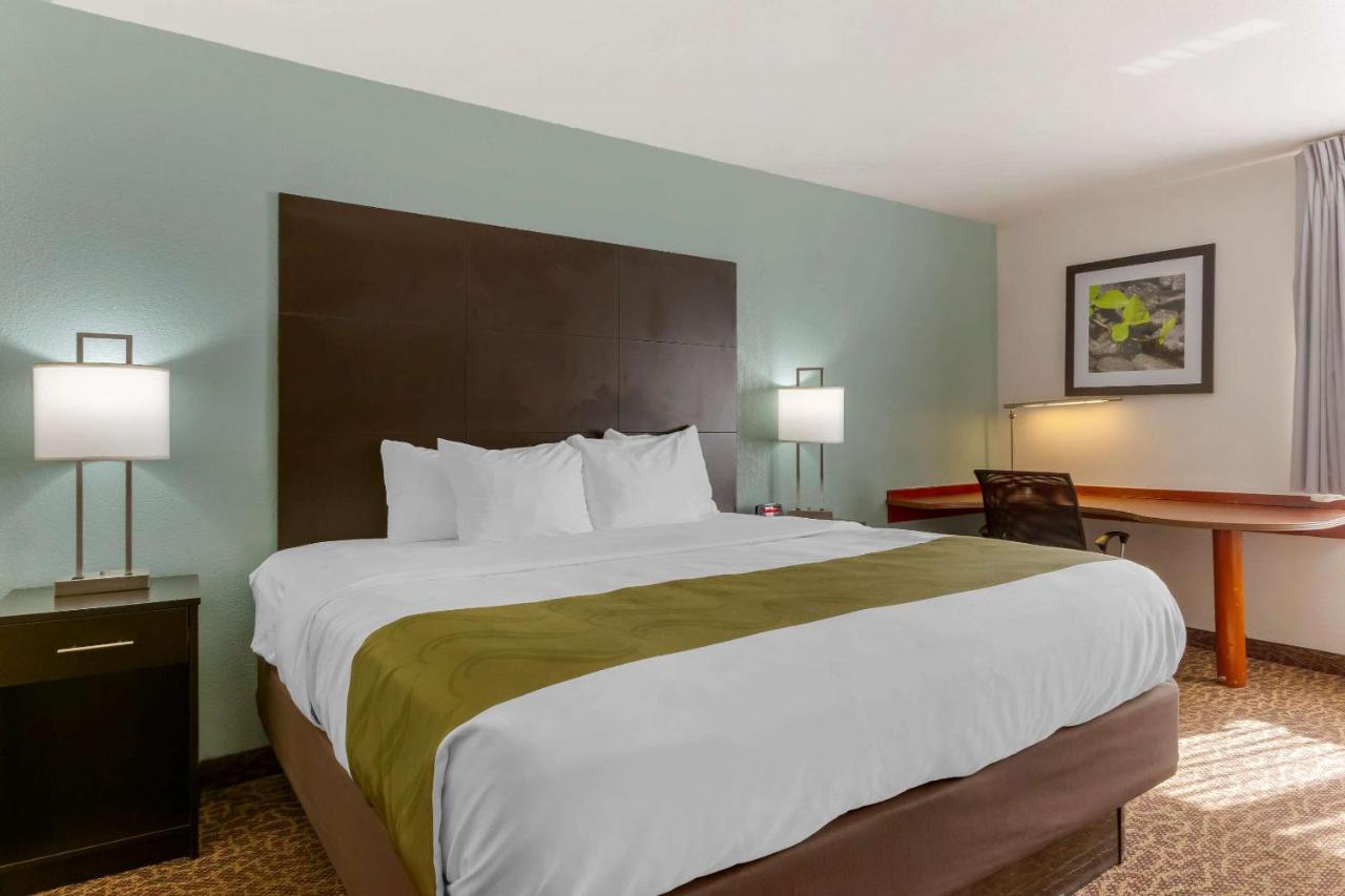 Standard King Room - Smoking at Quality Inn Alexis Rd