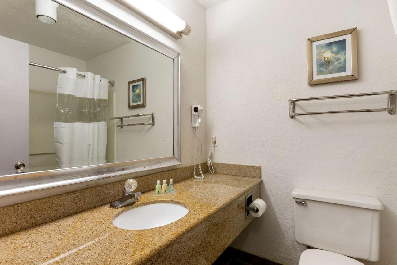 King Room with Roll-In Shower - Accessible/Non Smoking at Quality Inn Alexis Rd