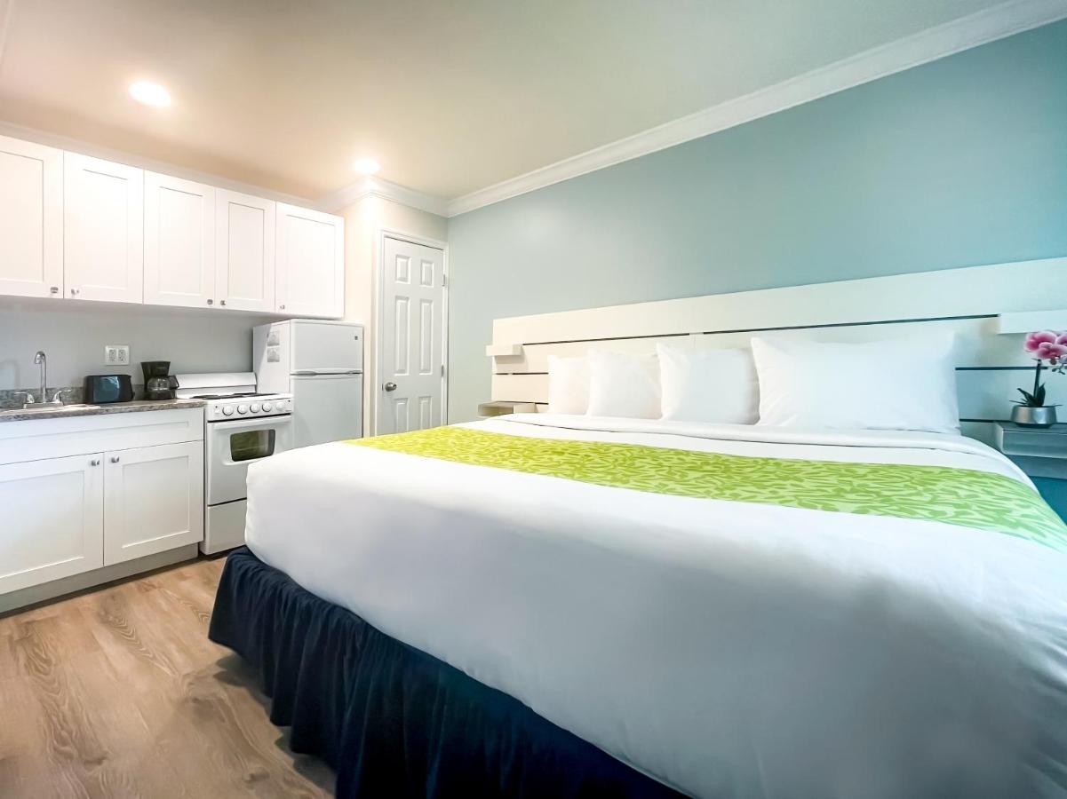 Junior Suite with Pool View at The Clevelander