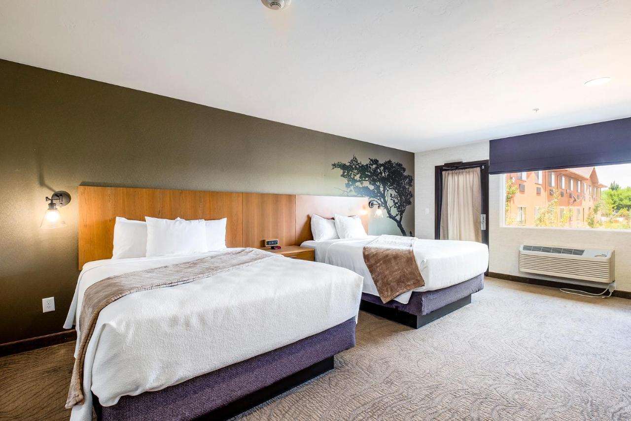 Superior Double Room at Red Sands Hotel & Spa