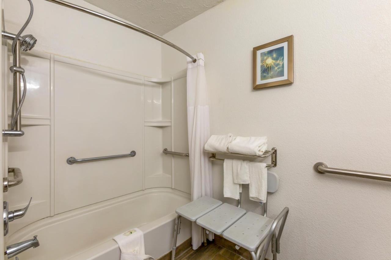 King Room with Roll-In Shower - Accessible/Non Smoking at Quality Inn Alexis Rd