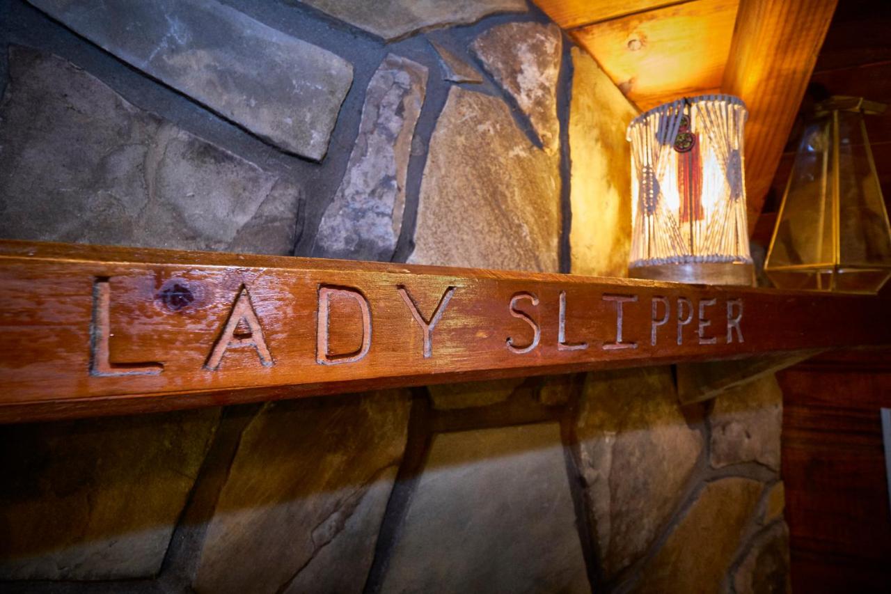 | Gatlinburg Area Hottub Cabin - Ladyslipper