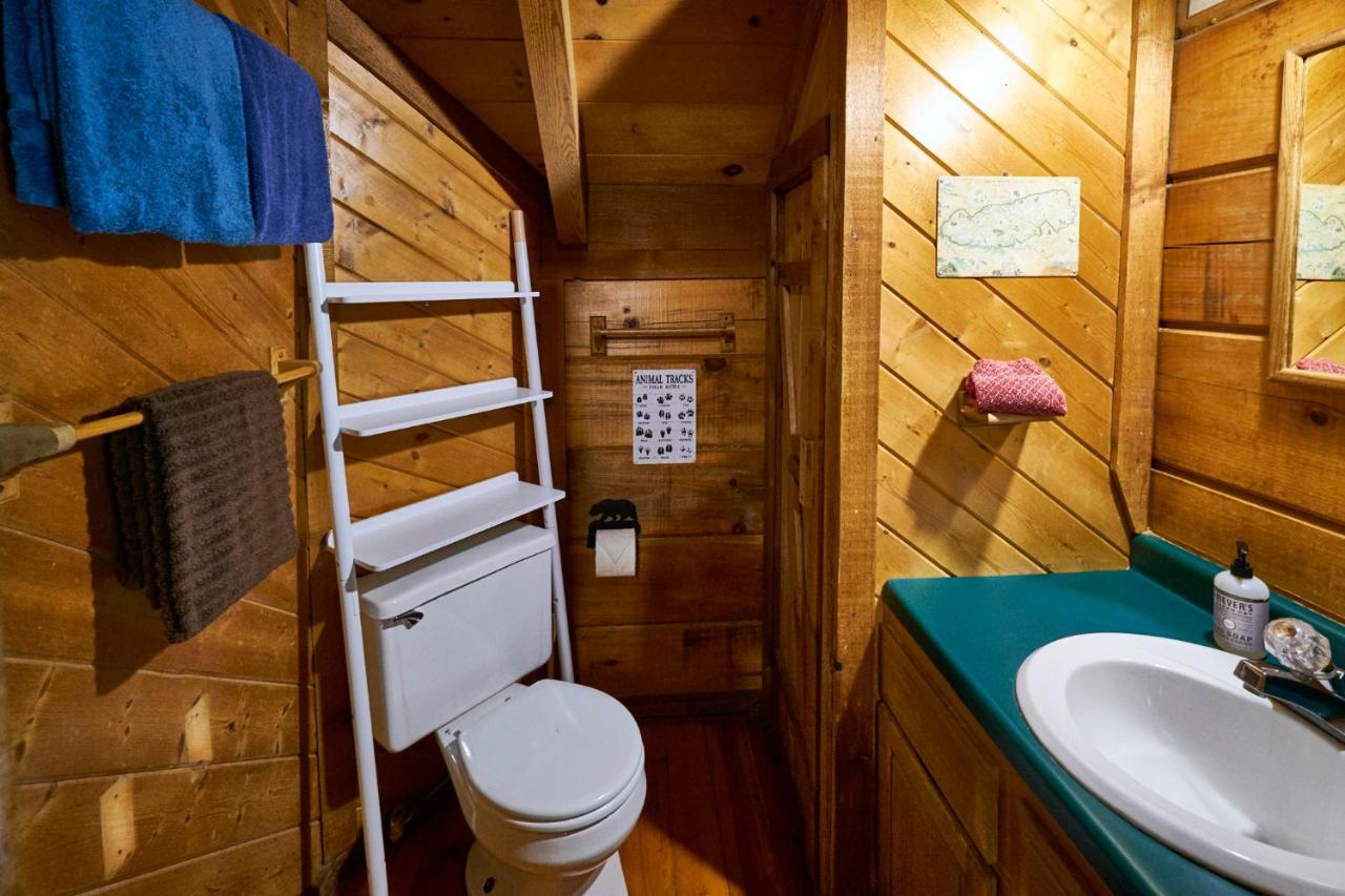 | Gatlinburg Area Hottub Cabin - Ladyslipper