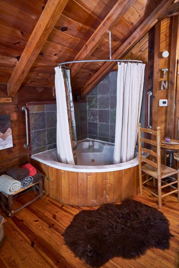 | Gatlinburg Area Hottub Cabin - Ladyslipper