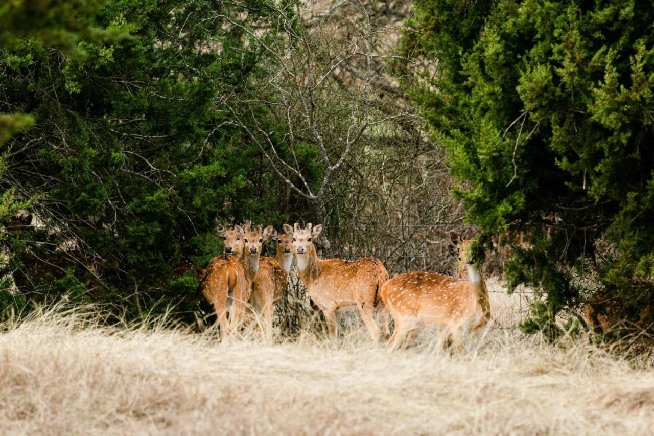 | Blue Hills Ranch