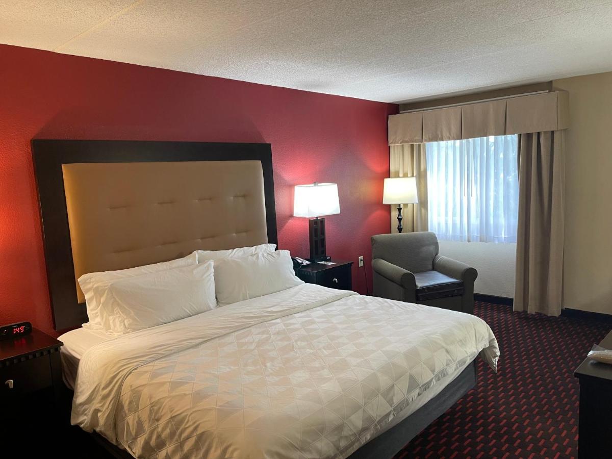 King Room at Wyndham Garden Dover