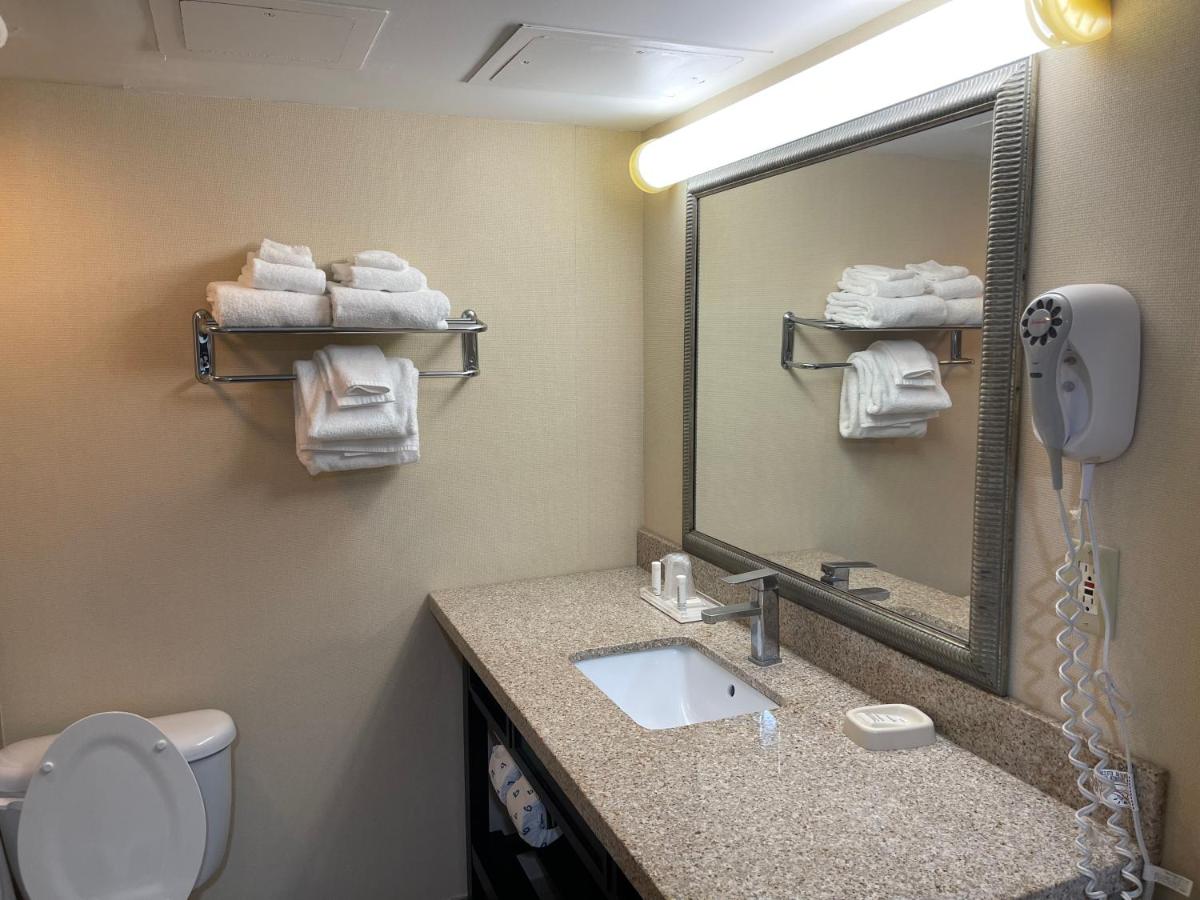 Queen Room with Two Queen Beds - Mobility Accessible/Non-Smoking at Wyndham Garden Dover