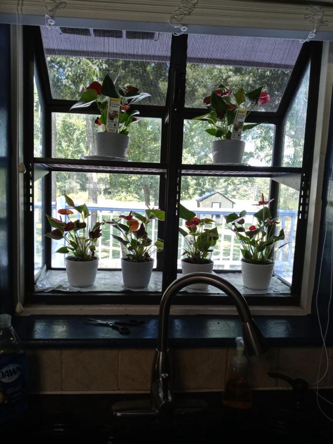 | Beautifully renovated 4 bedroom private home.