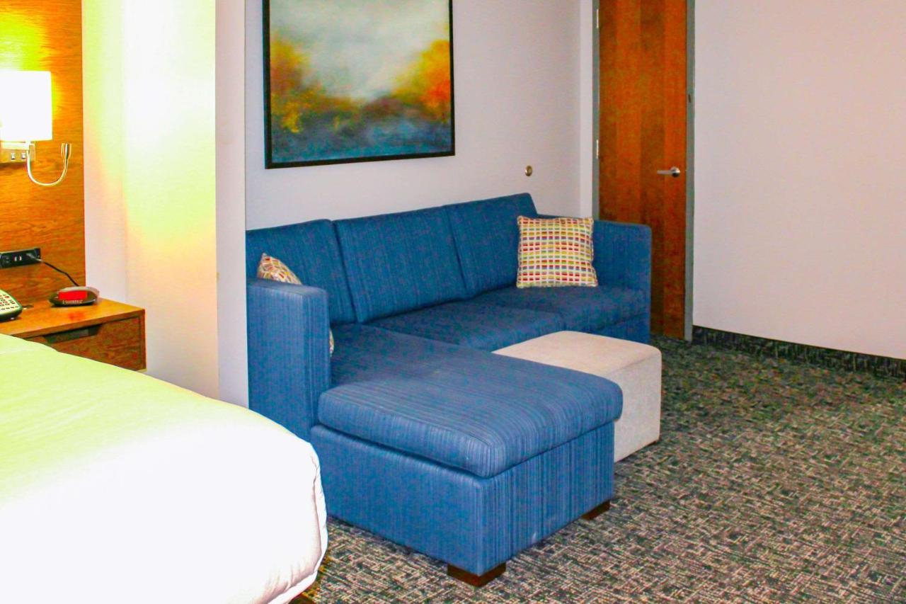 King Suite with Sofa Bed - Non-Smoking at Comfort Inn and Suites Near Lake Guntersville