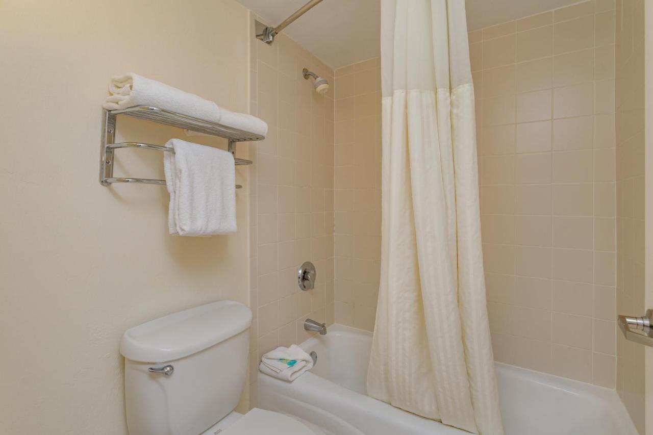  | Relaxing 1-Bedroom Oceanfront Condo With Pool