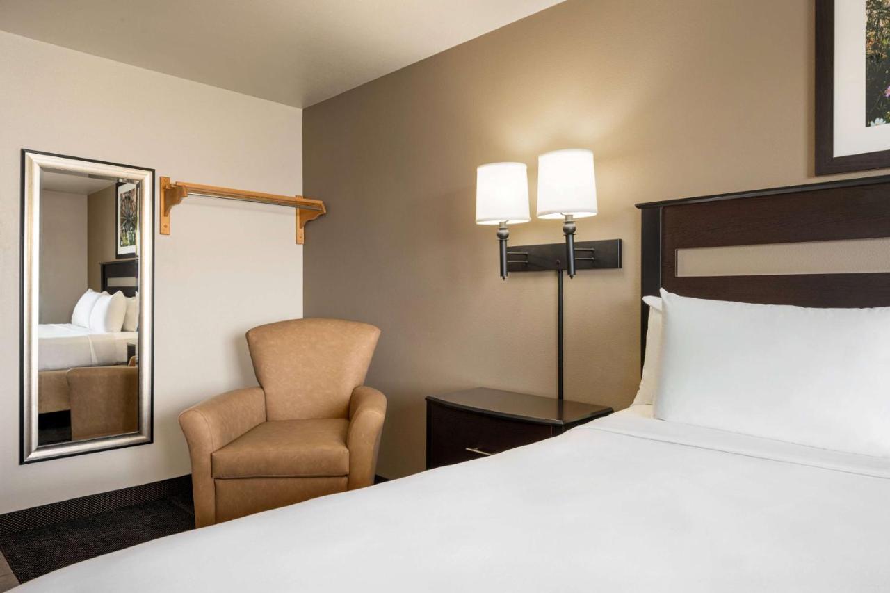 Queen Room - Non-Smoking at Baymont by Wyndham Elko