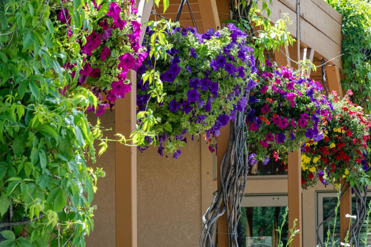 | Flying Saddle Resort and Steak House