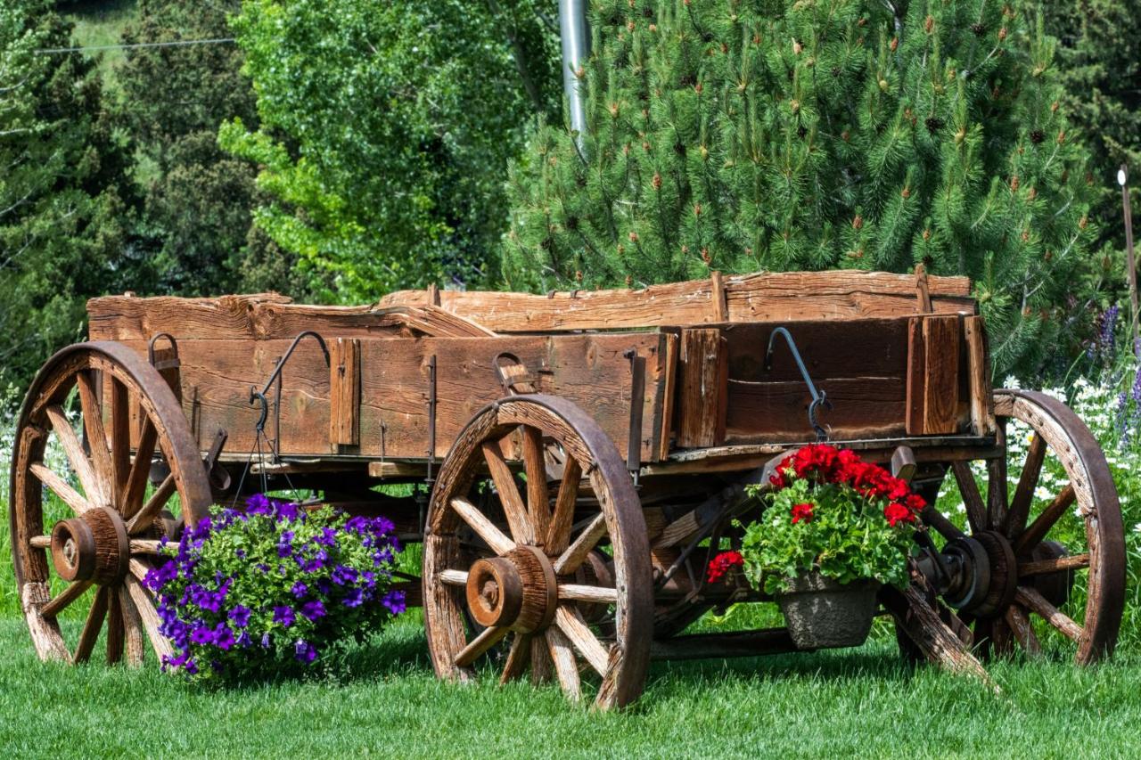 | Flying Saddle Resort and Steak House