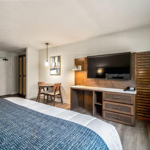 Superior Studio at Homestay Suites - Studios & Spas