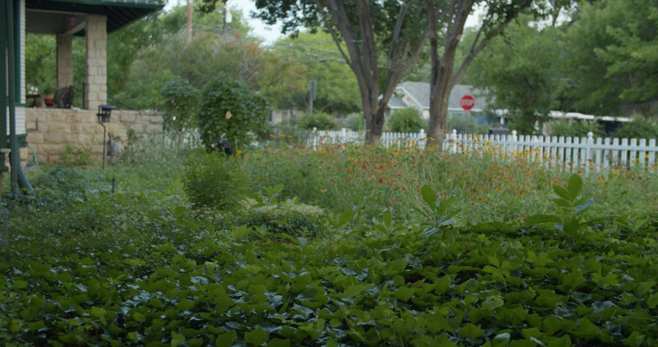 | Granbury Gardens Bed and Breakfast
