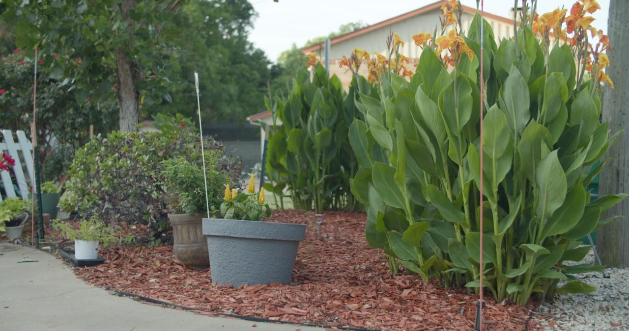 | Granbury Gardens Bed and Breakfast