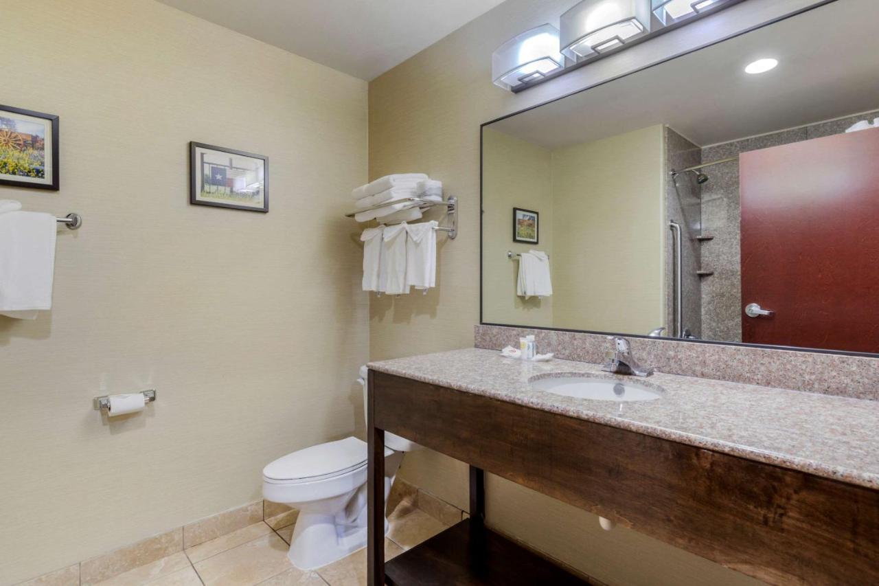 King Suite - Non-Smoking at Comfort Suites Pflugerville - Austin North