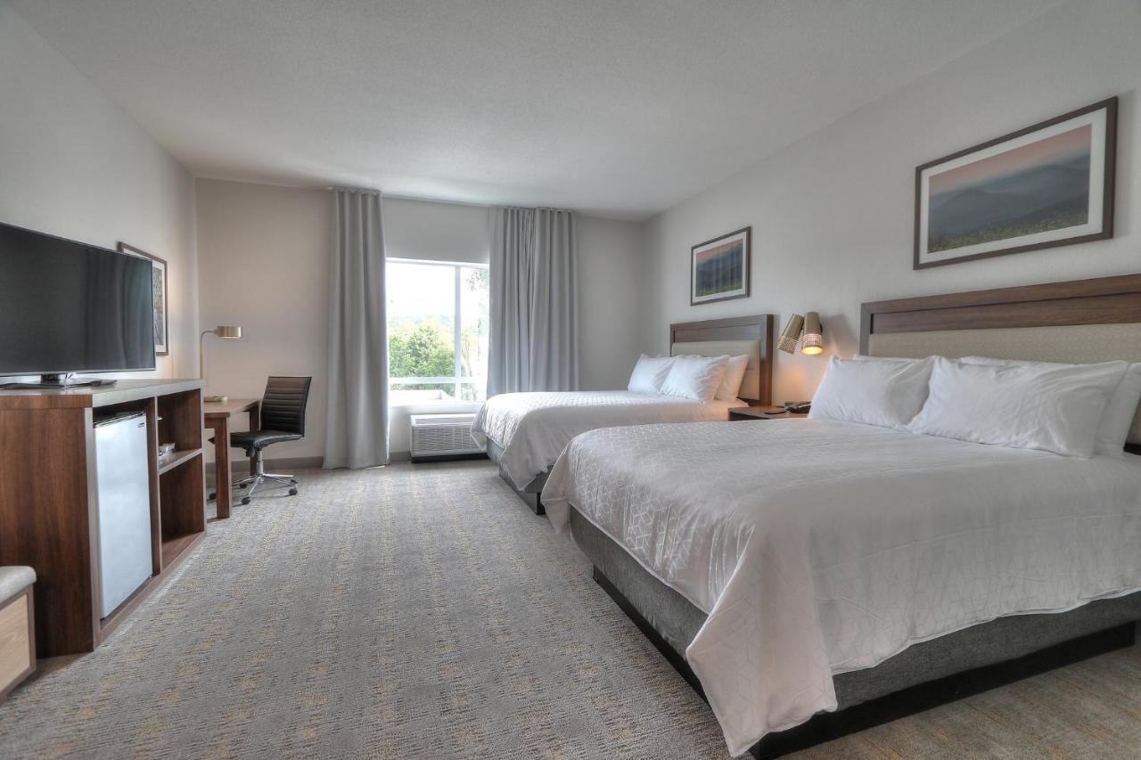 Standard Room With Two Queen Beds - Non-Smoking at Holiday Inn & Suites Pigeon Forge Convention Center by IHG