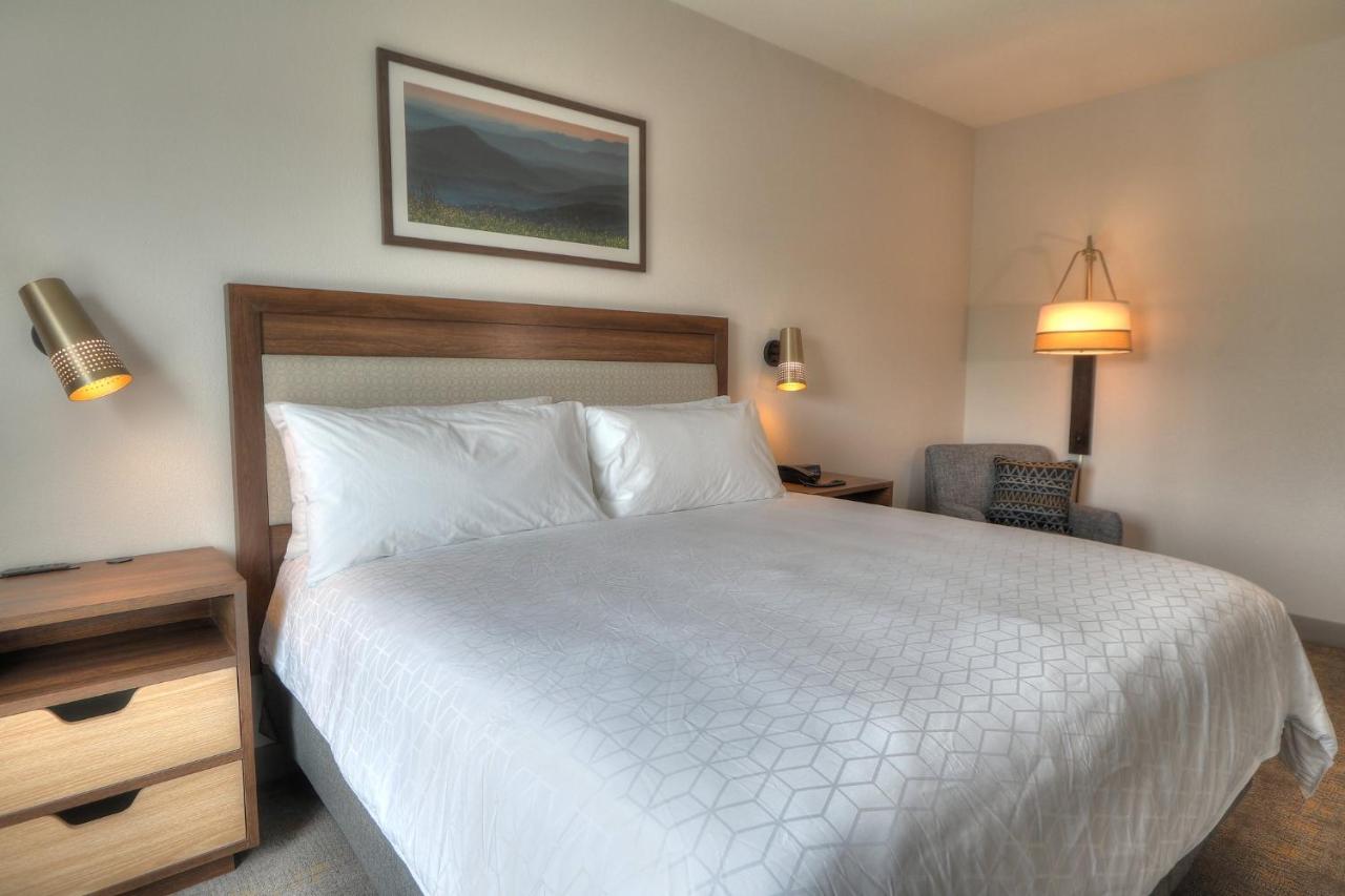 Standard King Room - Non-Smoking at Holiday Inn & Suites Pigeon Forge Convention Center by IHG