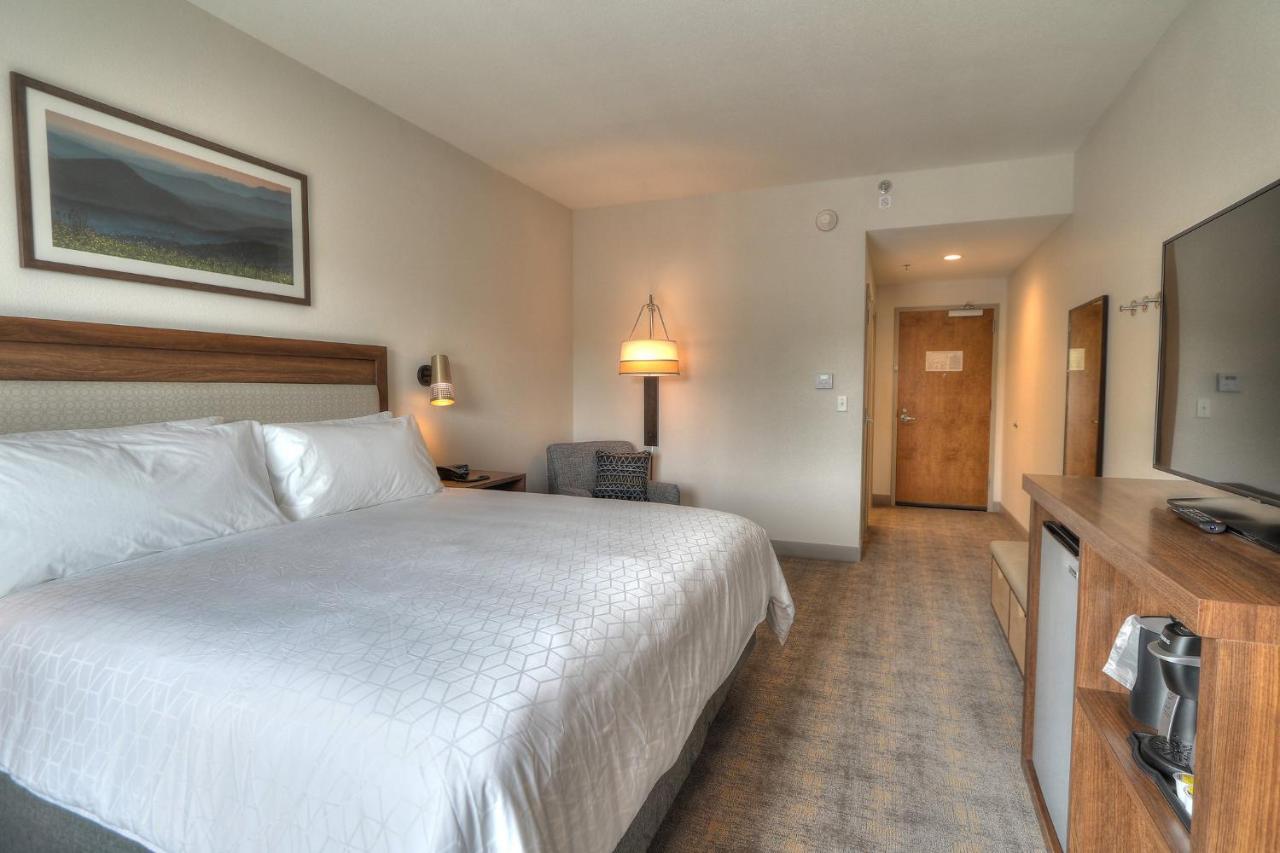 Standard King Room - Non-Smoking at Holiday Inn & Suites Pigeon Forge Convention Center by IHG