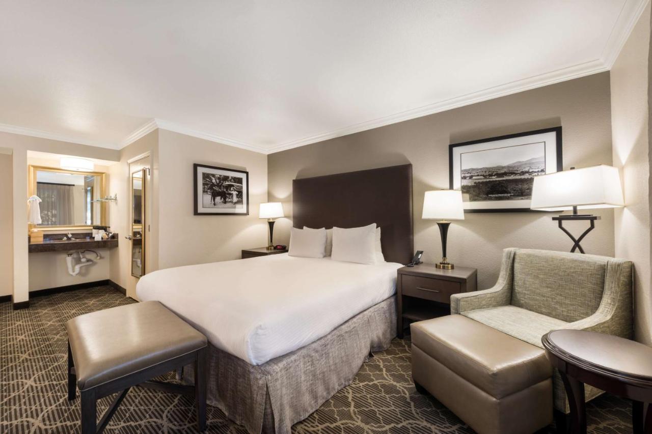 King Room with Roll-in Shower - Disability Access/Non-Smoking at Best Western Danville Sycamore Inn