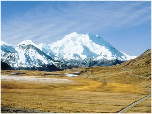 | Denali Grizzly Bear Resort