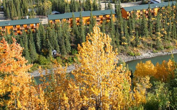 | Denali Grizzly Bear Resort