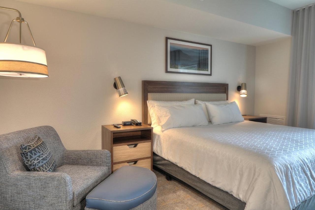 Standard King Room - Non-Smoking at Holiday Inn & Suites Pigeon Forge Convention Center by IHG
