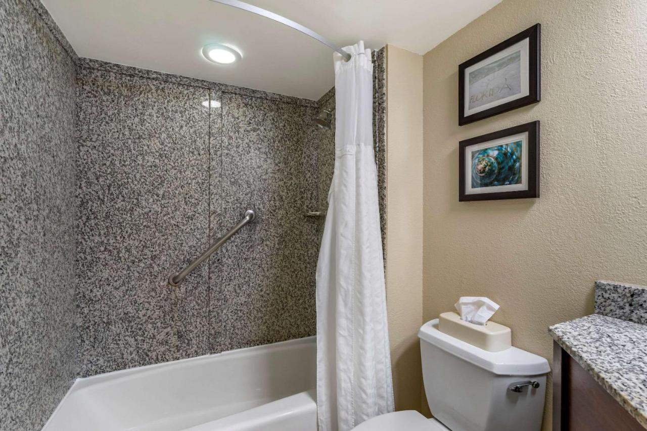 One-Bedroom King Suite with Sofa Bed - Non-Smoking at Comfort Inn & Suites St. Pete - Clearwater International Airport