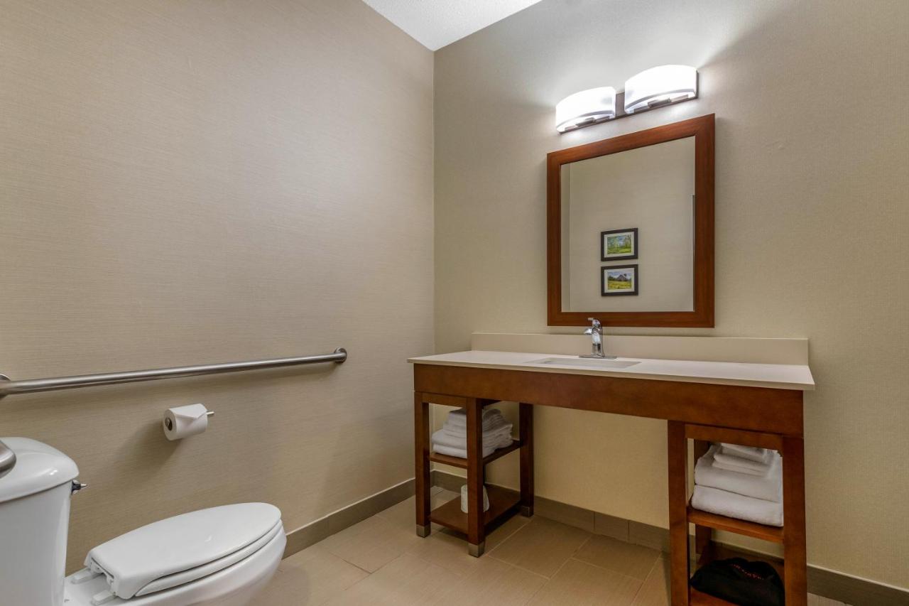 King Suite - Disability Access/Non-Smoking at Comfort Suites Cedar Falls Industrial Park