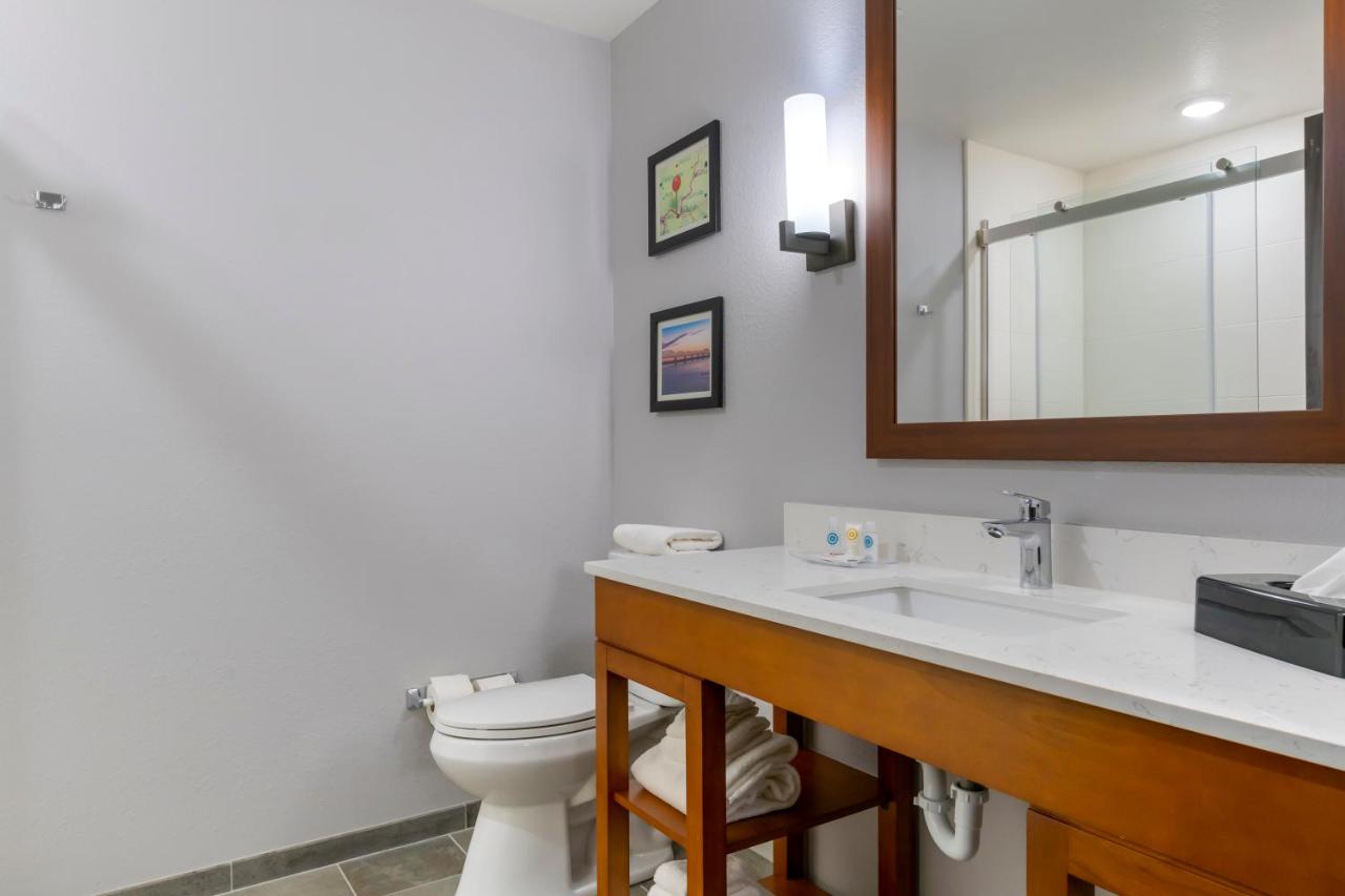 One Room Suite with Sofa bed - Non Smoking at Comfort Suites Paducah Mall Area