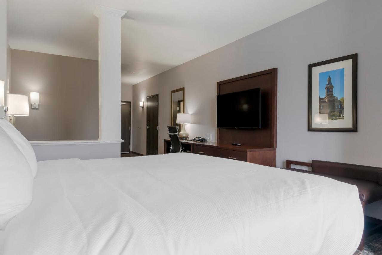 One Room Suite with Sofa bed - Disability Access/Non Smoking at Comfort Suites Paducah Mall Area