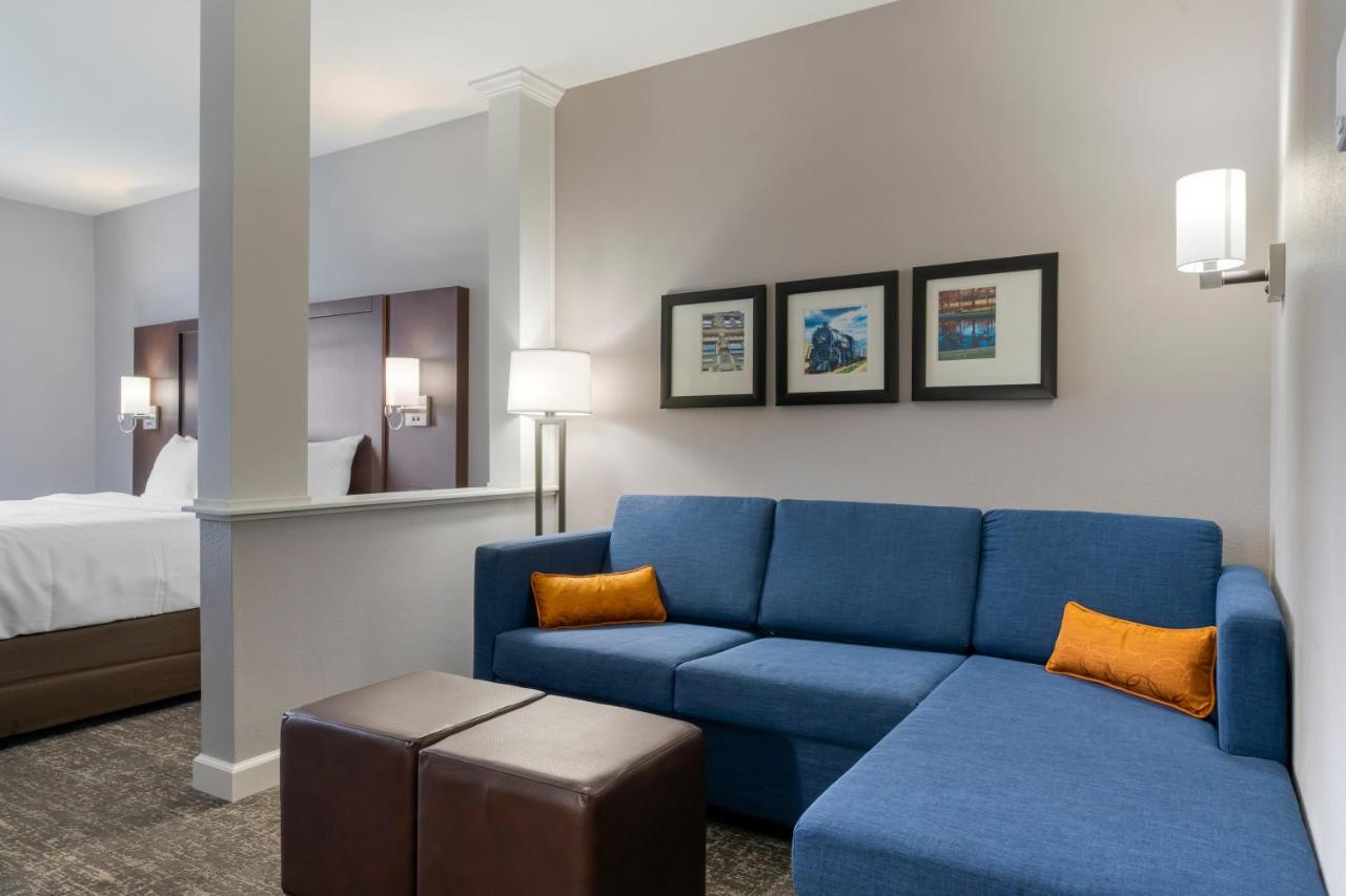 One Room Suite with Sofa bed - Disability Access/Non Smoking at Comfort Suites Paducah Mall Area