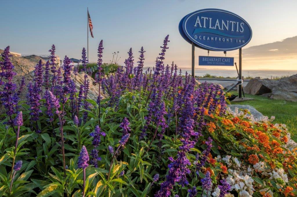 | Atlantis Oceanfront Inn Gloucester