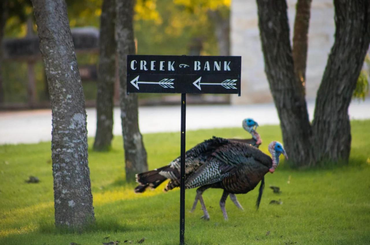 | The Creek Bank Getaway Minutes to Main St
