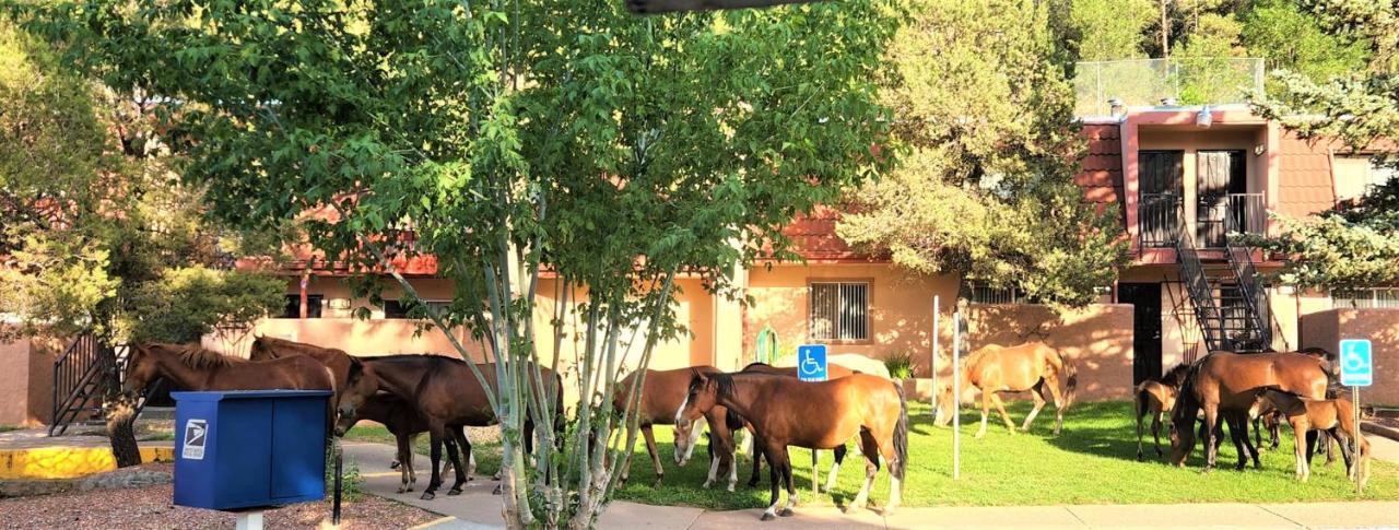 | Pinecliff Village Resort