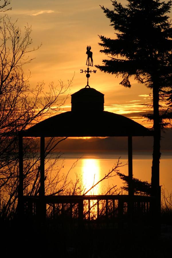 | Clam Gulch Lodge