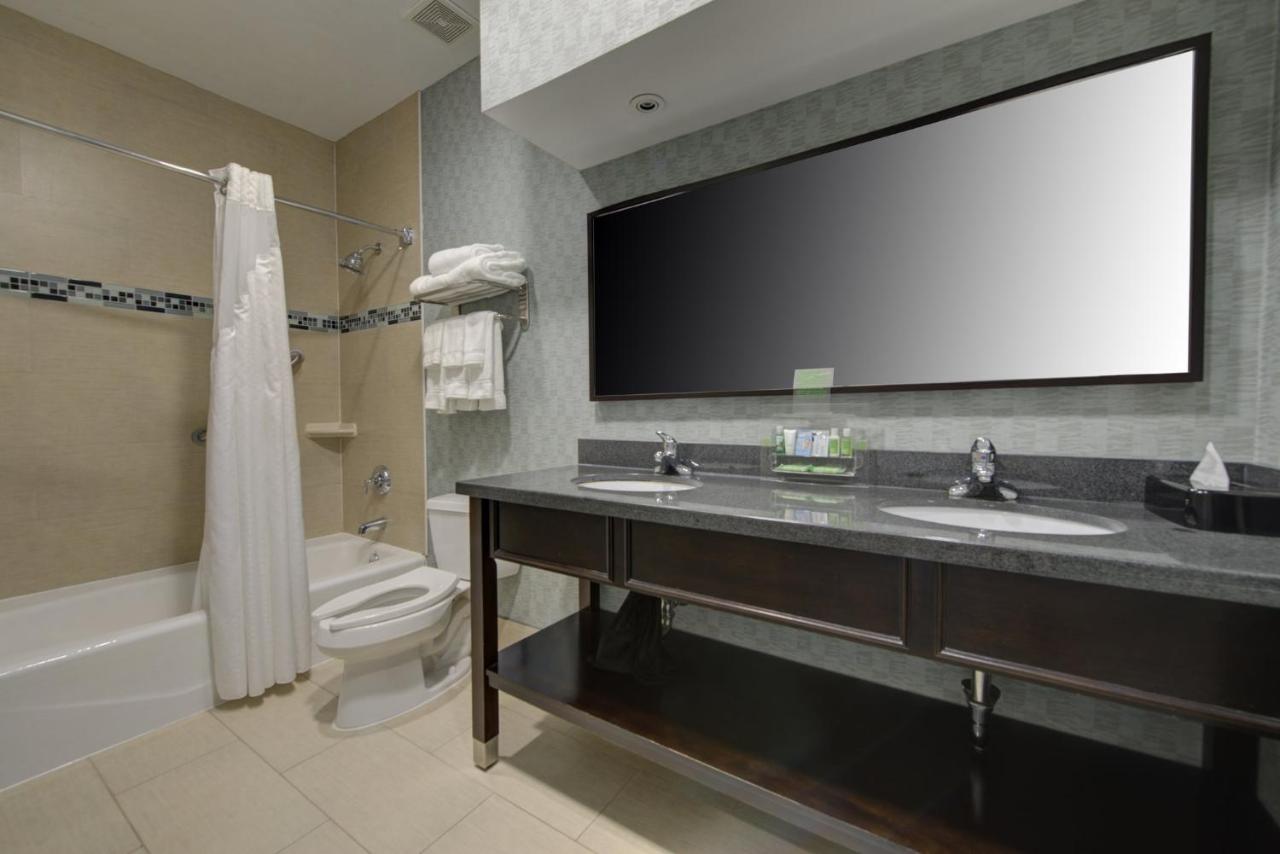 Executive King Room - Non-Smoking at Holiday Inn Plainview-Long Island by IHG