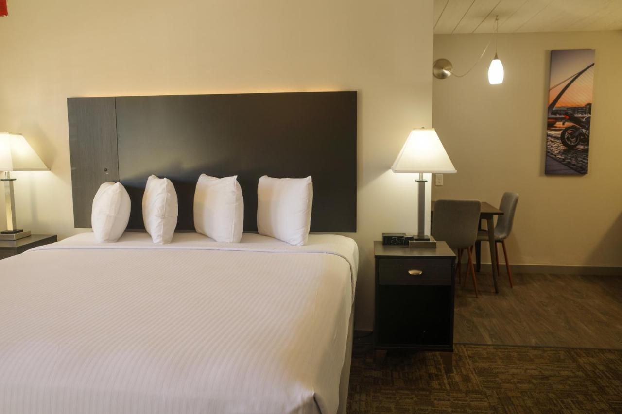 King Suite at Americana Modern Hotel