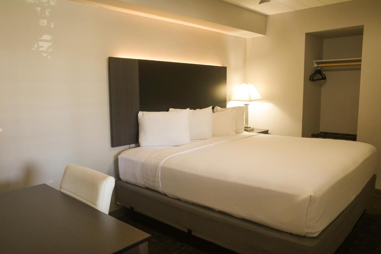 Standard Triple Room at Americana Modern Hotel