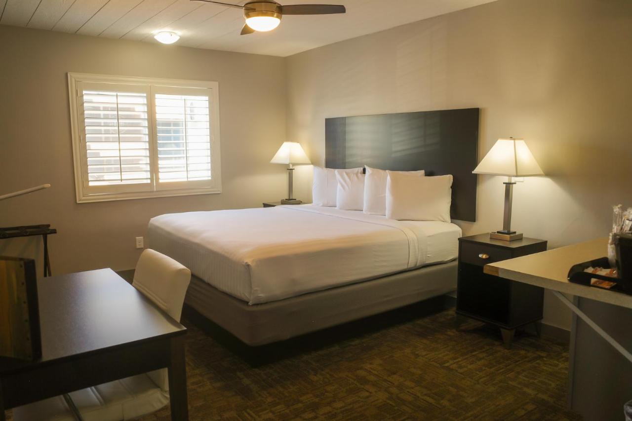 Double King Suite at Americana Modern Hotel