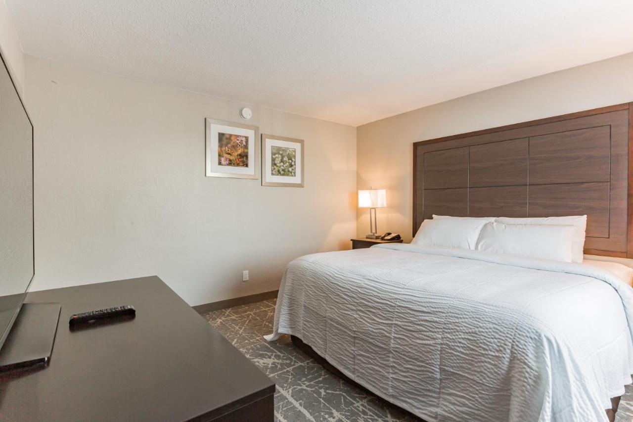 King Room - Non-Smoking at Orangewood Inn & Suites Kansas City Airport