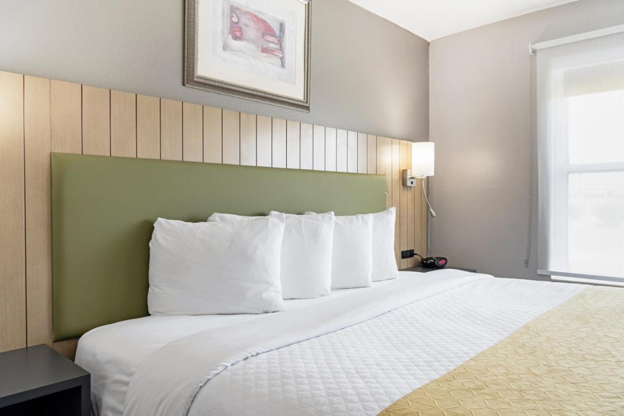 One-Bedroom King Suite with Sofa Bed - Non-Smoking at SureStay by Best Western Lewisville Dallas
