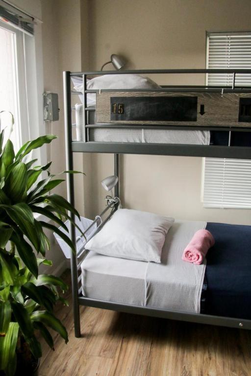 | Melrose Hostel