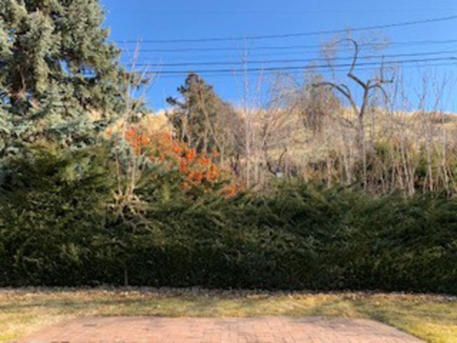 | Sunset Views-Pool Table, Great Access to Mtns/City