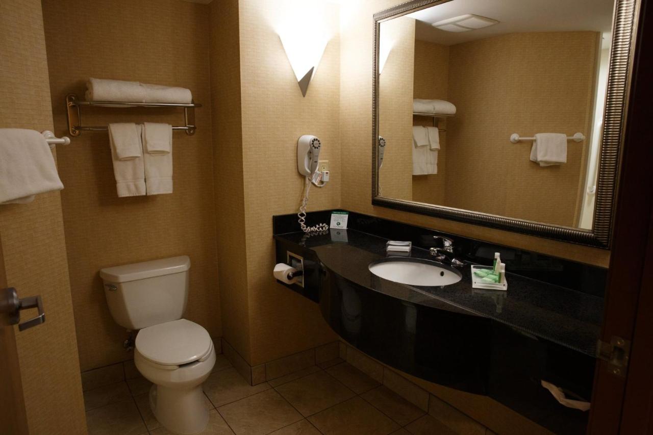 | Holiday Inn Battle Creek, an IHG Hotel