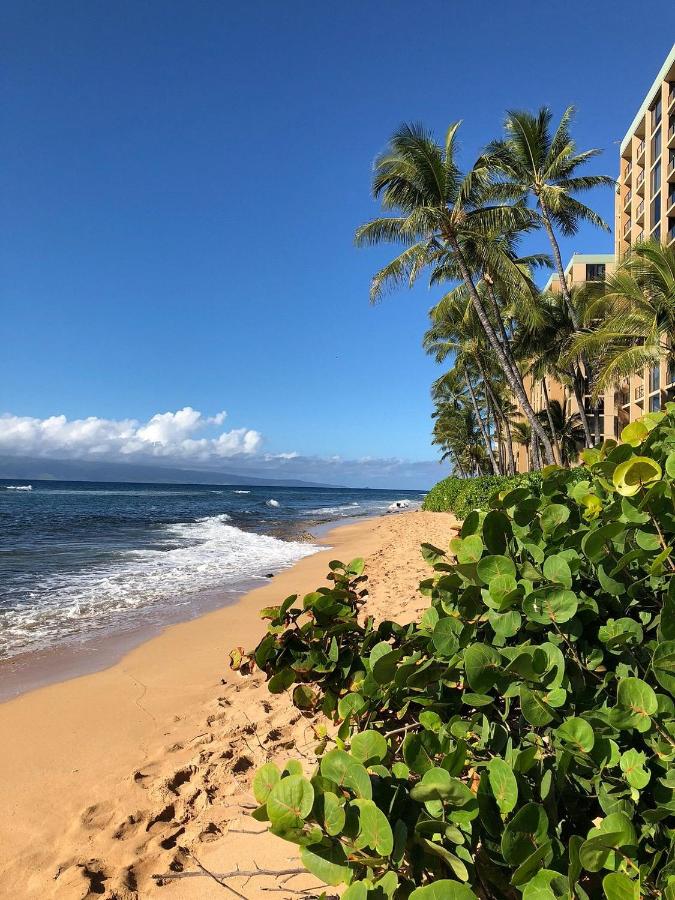 | Maui Westside Presents: Mahana 1003