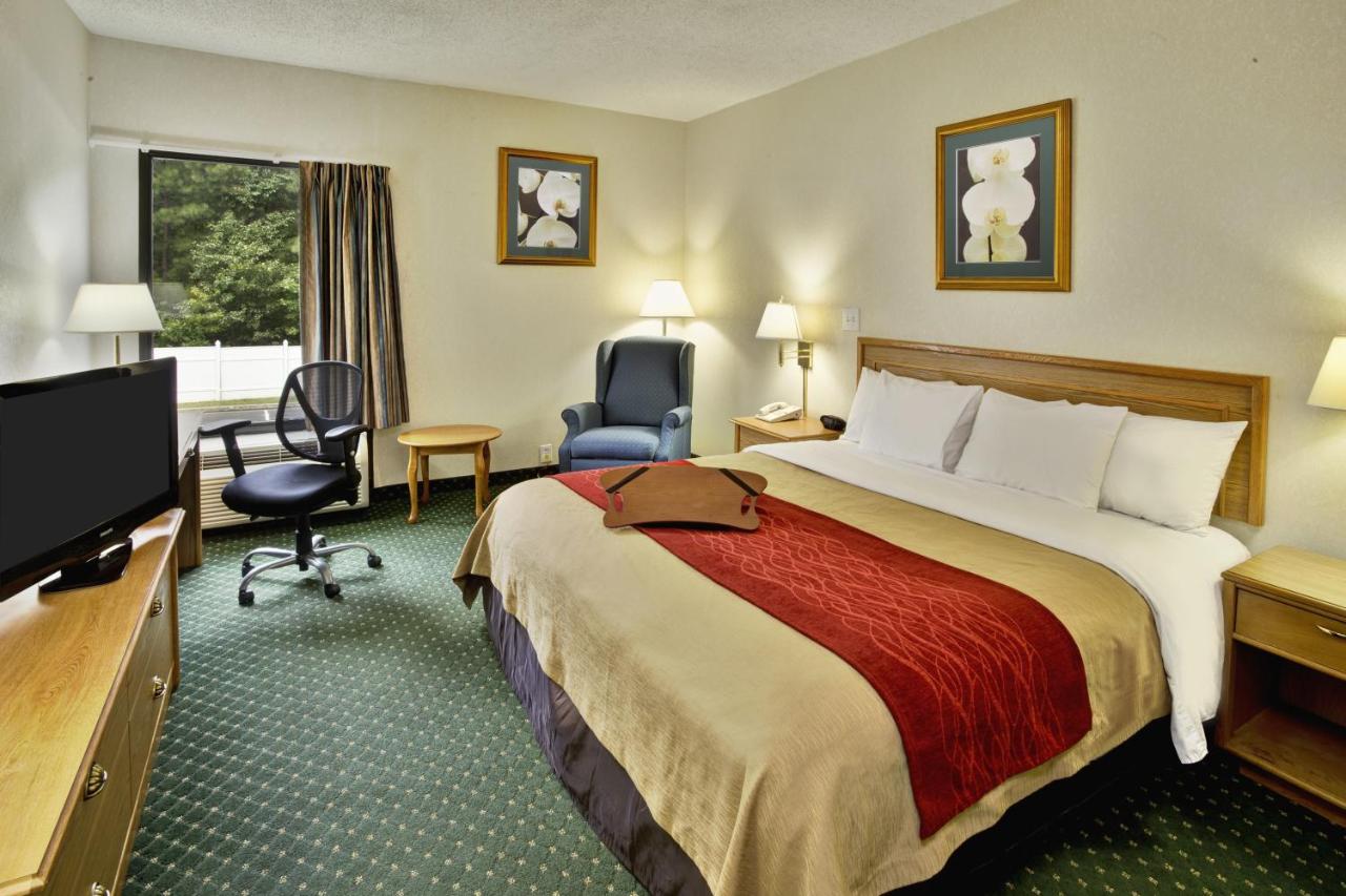 King Room - Non-Smoking at Comfort Inn Chester - Richmond South
