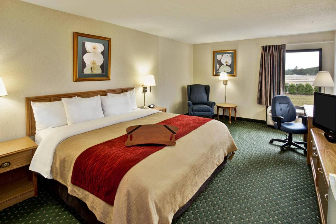 King Room - Non-Smoking at Comfort Inn Chester - Richmond South