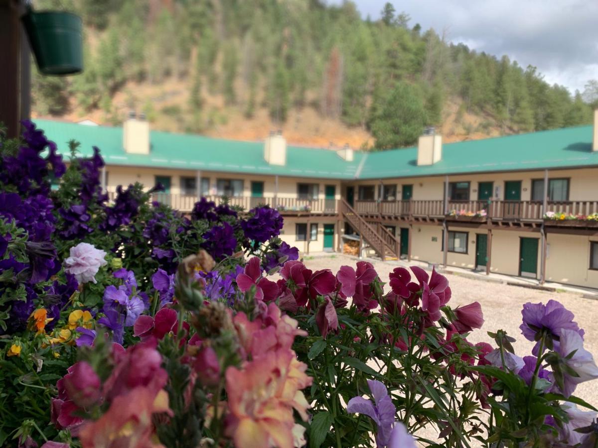 | Ponderosa Lodge 11AB with High Speed Wifi